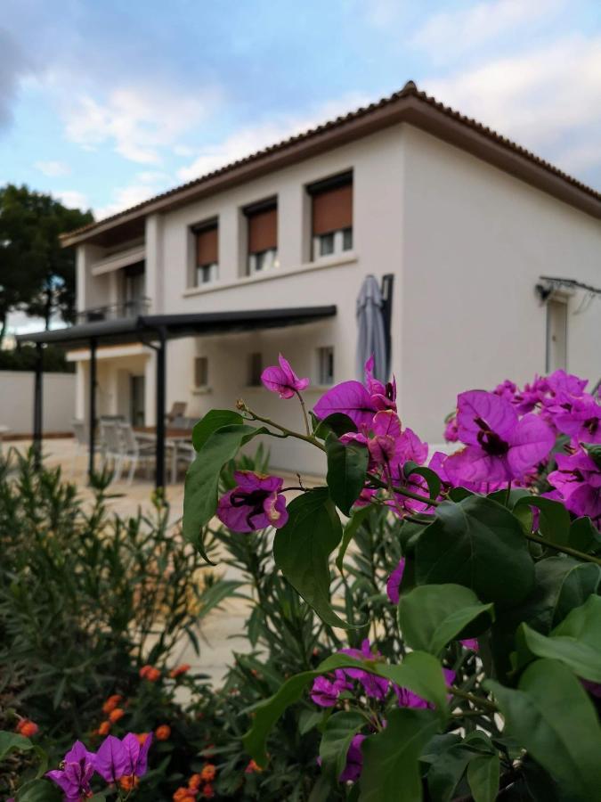 Maison De Charme 卡斯特里 外观 照片